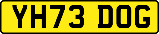 YH73DOG