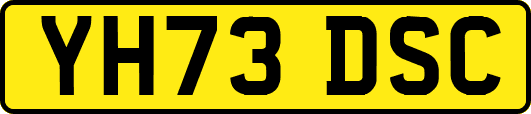 YH73DSC
