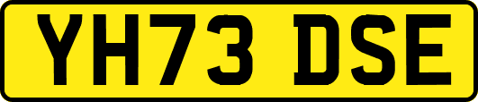 YH73DSE