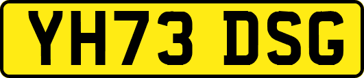 YH73DSG