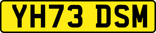 YH73DSM