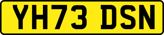 YH73DSN
