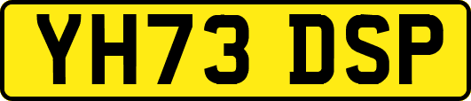 YH73DSP