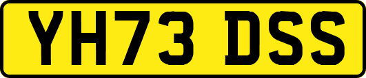 YH73DSS