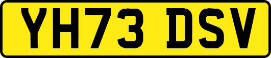 YH73DSV