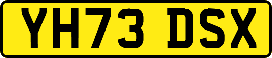 YH73DSX