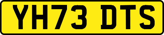 YH73DTS
