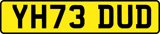 YH73DUD