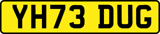 YH73DUG