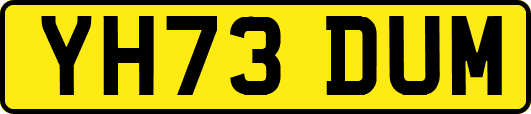 YH73DUM