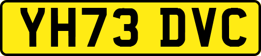 YH73DVC