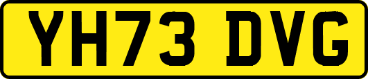 YH73DVG