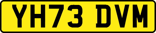 YH73DVM