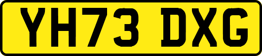 YH73DXG