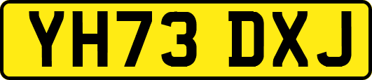 YH73DXJ