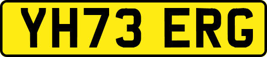 YH73ERG
