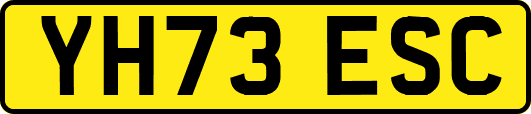 YH73ESC