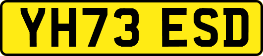 YH73ESD