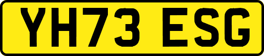 YH73ESG