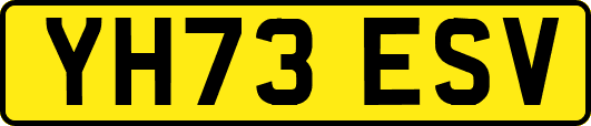 YH73ESV