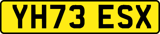 YH73ESX