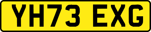 YH73EXG