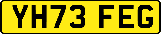 YH73FEG