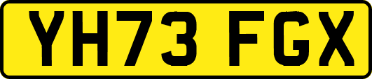 YH73FGX