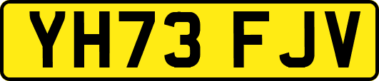 YH73FJV