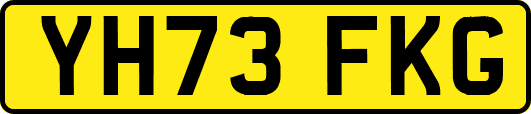 YH73FKG