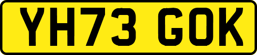 YH73GOK