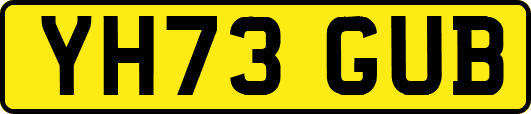YH73GUB