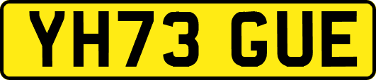 YH73GUE