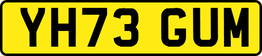 YH73GUM