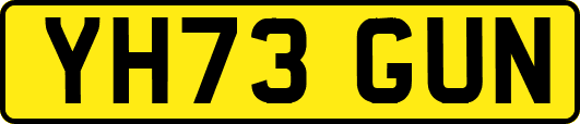 YH73GUN