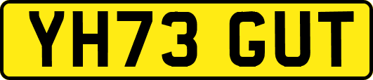YH73GUT