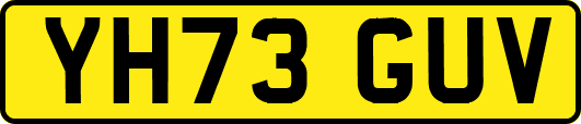 YH73GUV