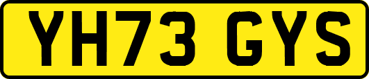 YH73GYS