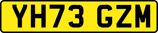 YH73GZM