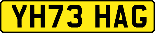 YH73HAG