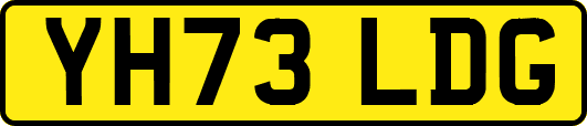 YH73LDG