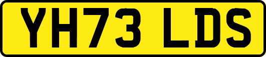 YH73LDS