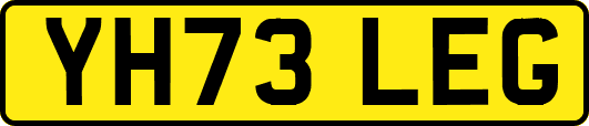 YH73LEG