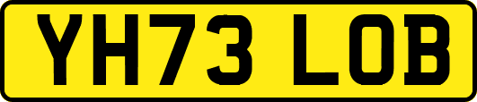 YH73LOB