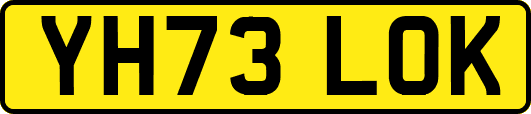 YH73LOK