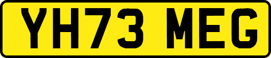YH73MEG