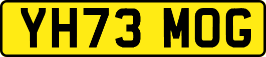 YH73MOG