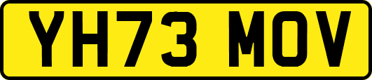 YH73MOV