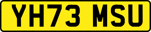 YH73MSU