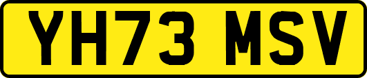 YH73MSV